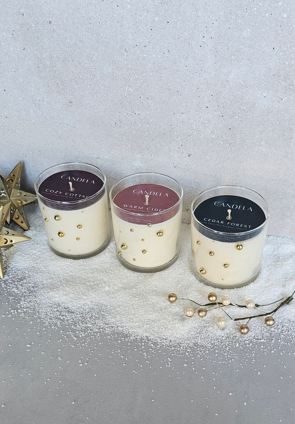 Cedar Forest • Winter Collection