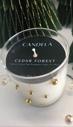 Cedar Forest • Winter Collection